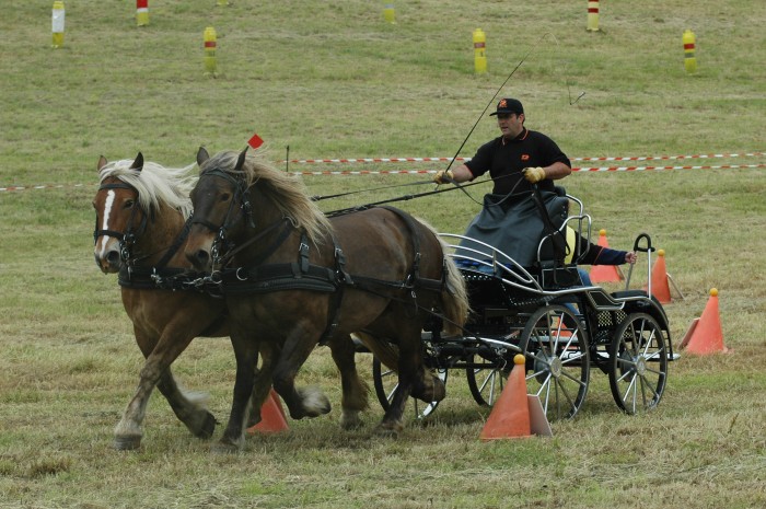 Photo de profil de arnaud089