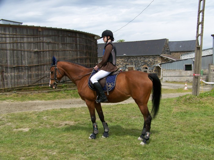 Photo de profil de azuro