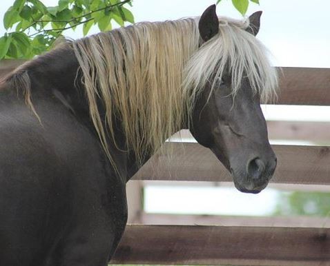 Photo de profil de bal1502to