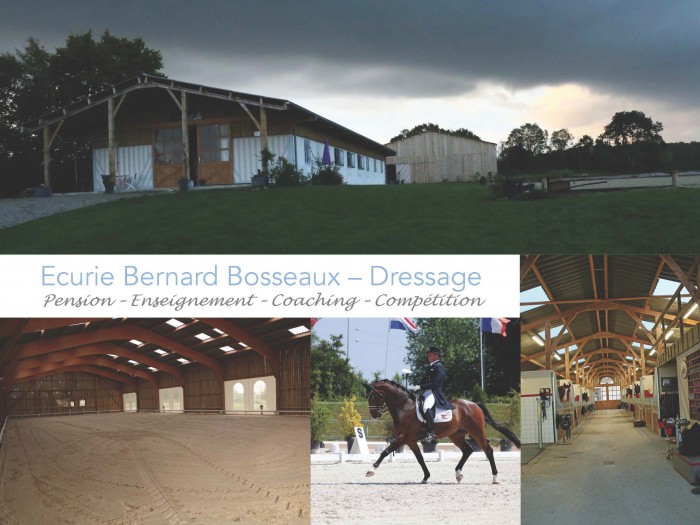 Photo de profil de bbdressage