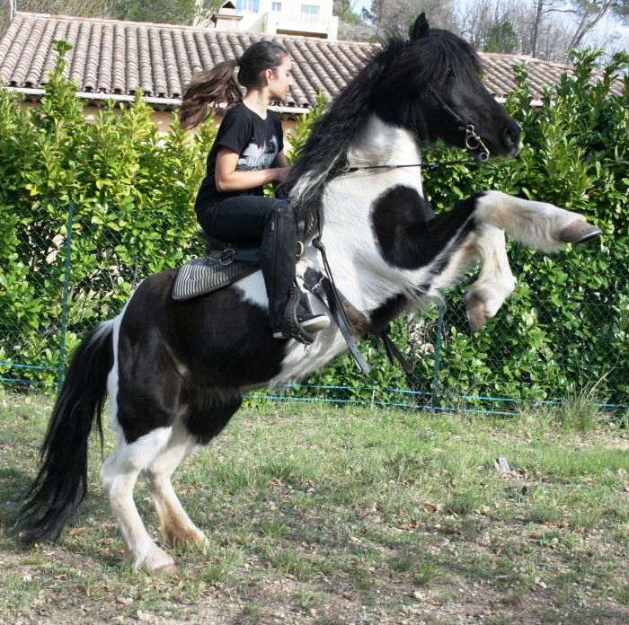 Photo de profil de brenda83