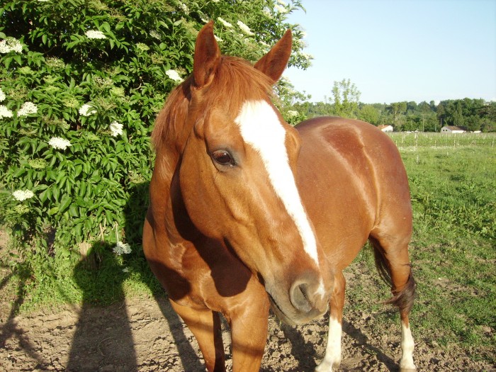 Photo de profil de captain