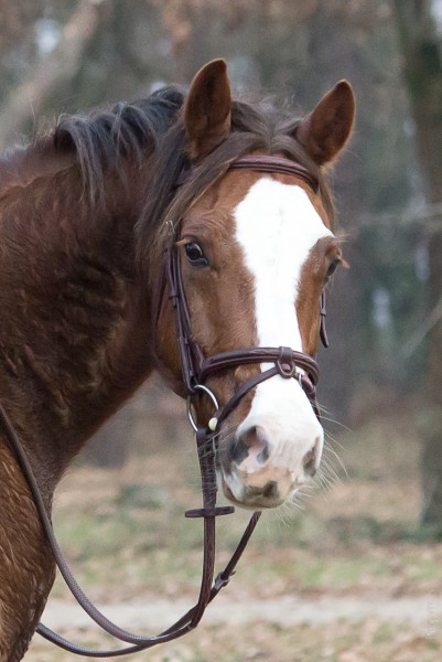 Photo de profil de carobegue