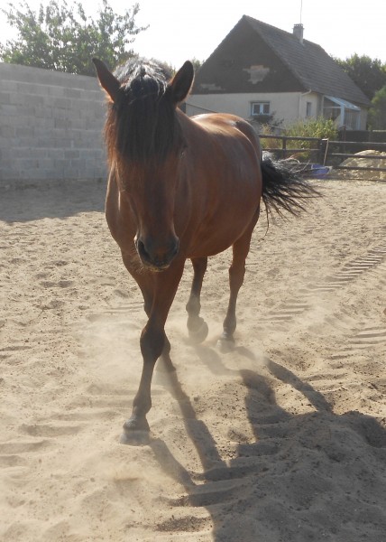 Photo de profil de ceanehugo