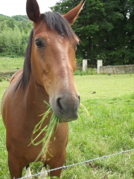 Photo de profil de charlotte34280