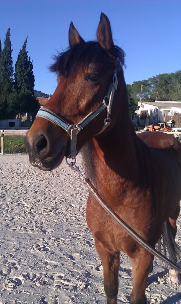 Photo de profil de chuck12