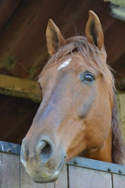 Photo de profil de coelho1997