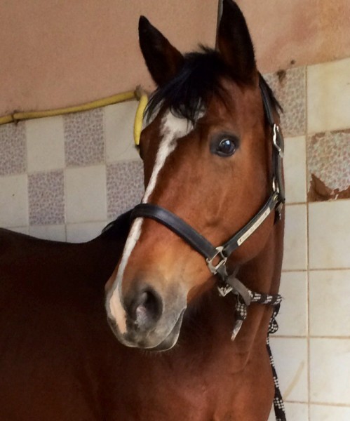 Photo de profil de colombus.island