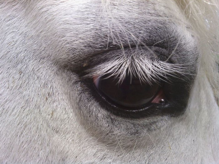 Photo de profil de cynthidaho