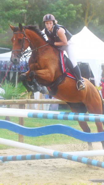 Photo de profil de datsun