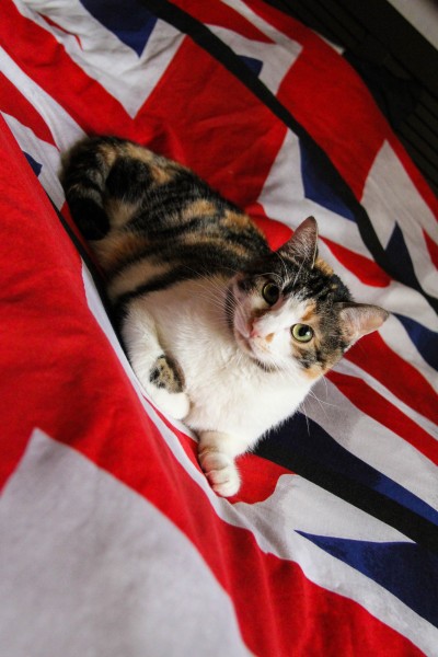 Photo de profil de debk