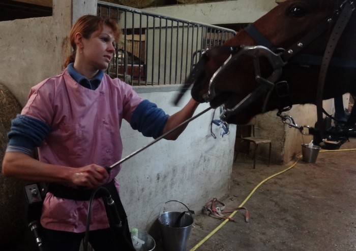 Photo de profil de dentiste62