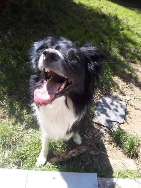 Photo de profil de dhrak