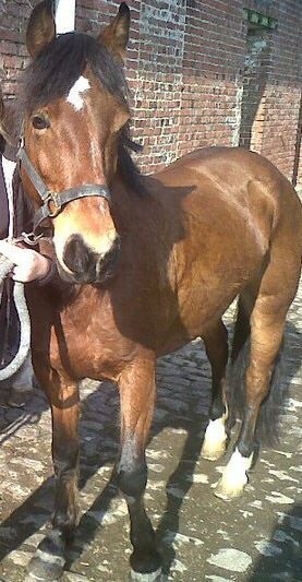Photo de profil de elsa2311
