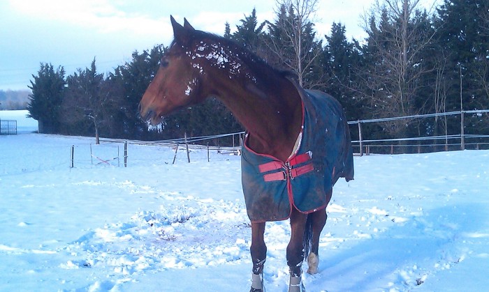 Photo de profil de emiliek