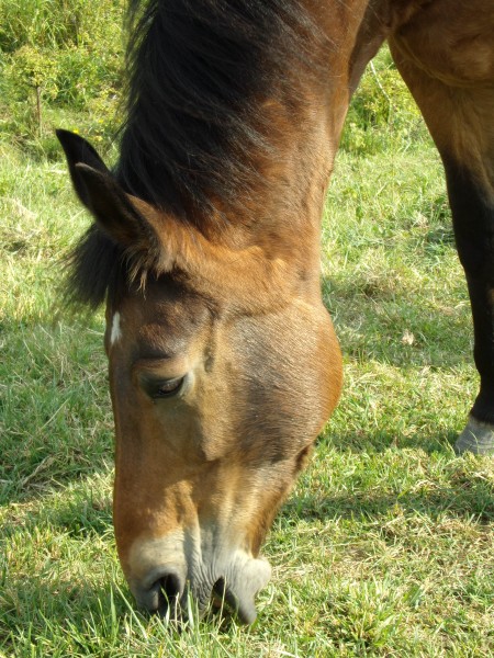 Photo de profil de estel57