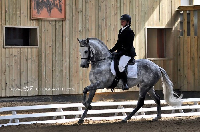 Photo de profil de evelyn