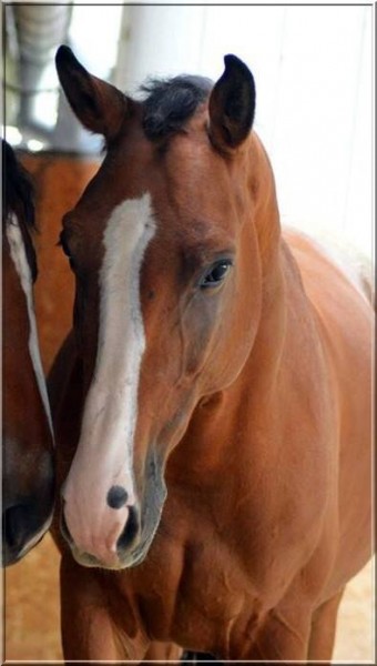 Photo de profil de exxtasie_67