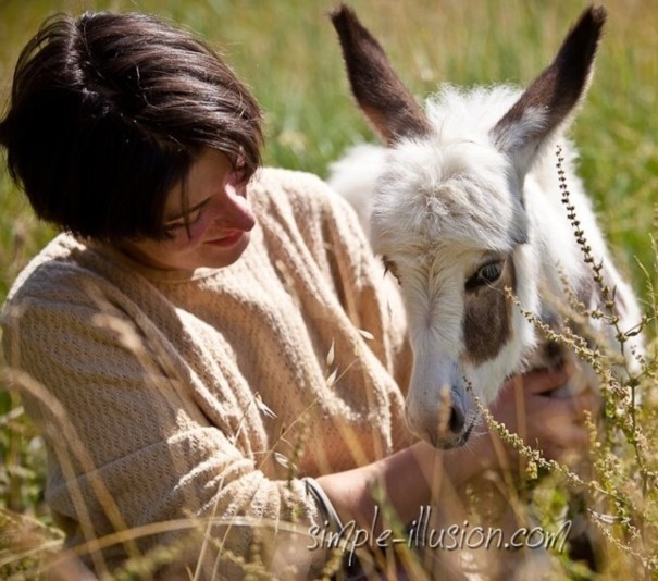 Photo de profil de ferme_tourelles