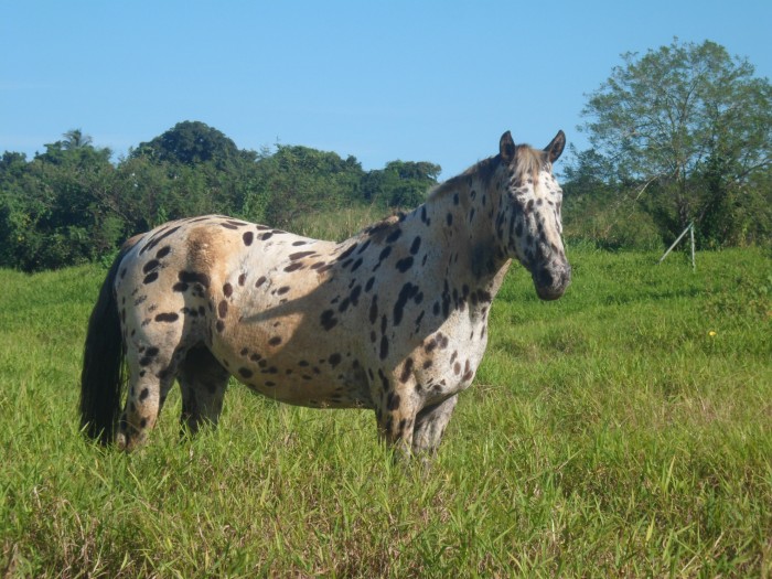 Photo de profil de flo97