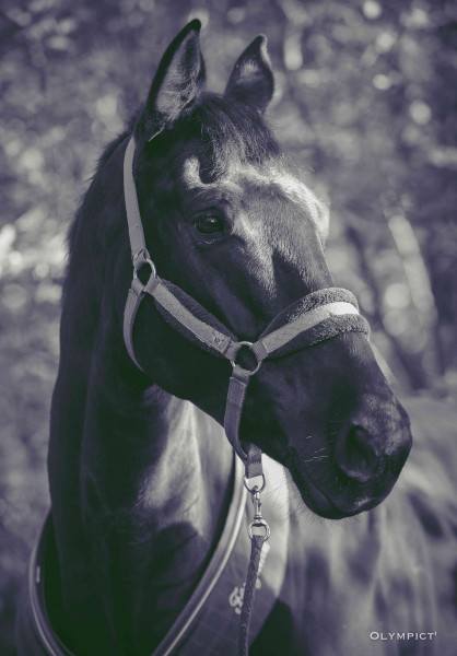 Photo de profil de flocon95