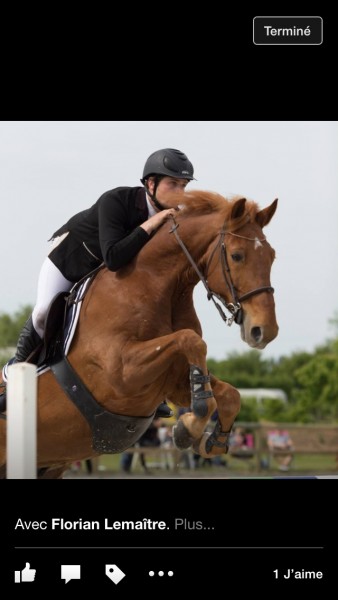 Photo de profil de florian.l