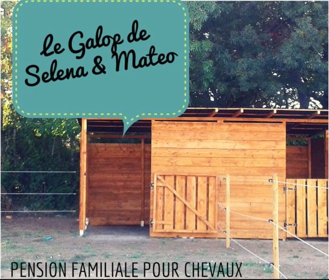 Photo de profil de galop.s.m