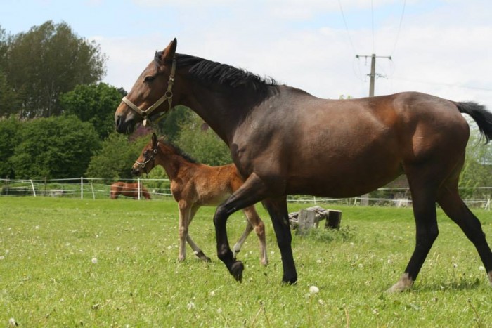 Photo de profil de gedeon11