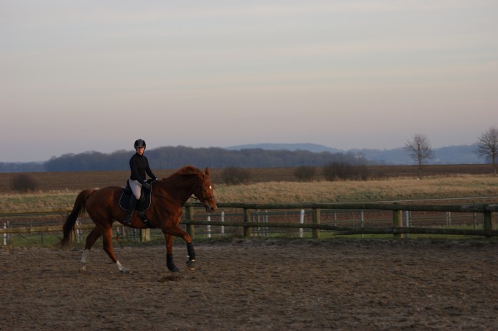 Photo de profil de gwenwed