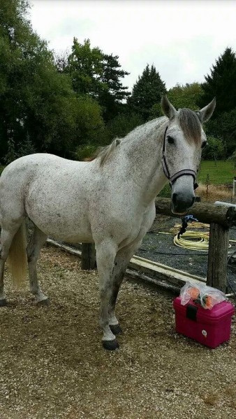 Photo de profil de gypsie45