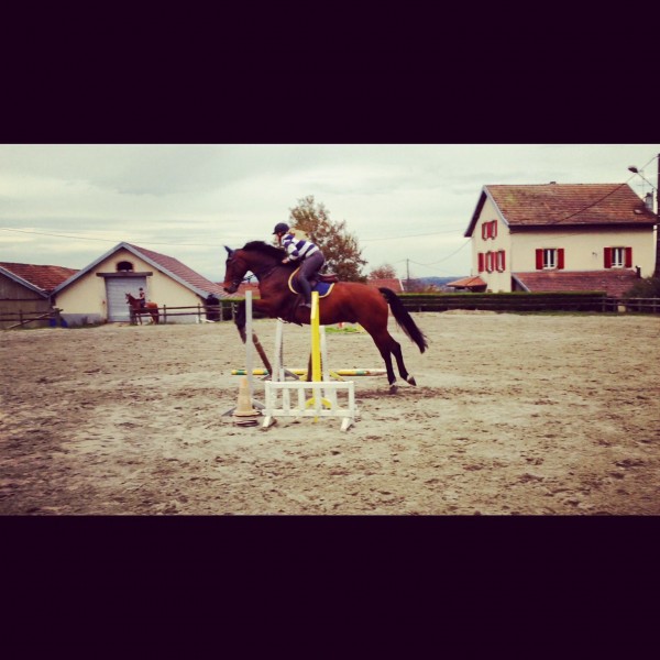 Photo de profil de heline