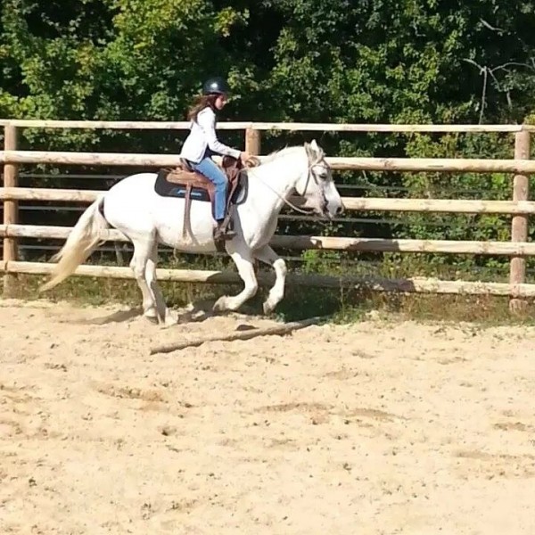 Photo de profil de horsezz__