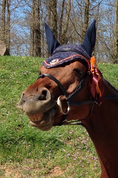 Photo de profil de ibou