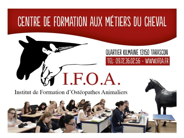 Photo de profil de i.f.o.a