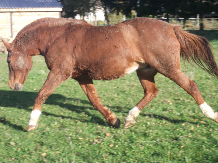 Photo de profil de ipamla