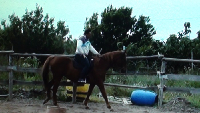 Photo de profil de ivano