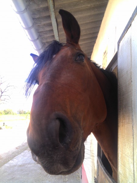 Photo de profil de jenny218