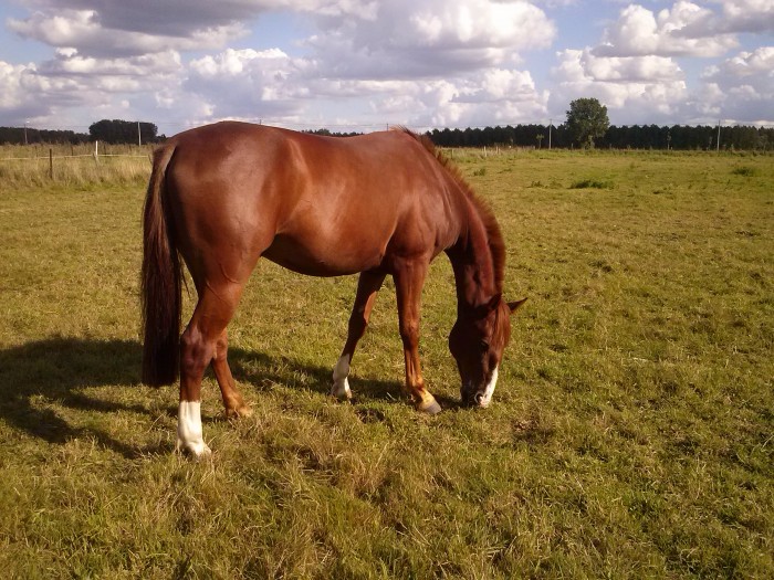 Photo de profil de jesschris59