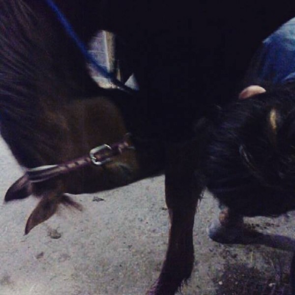 Photo de profil de jinkodhermet66