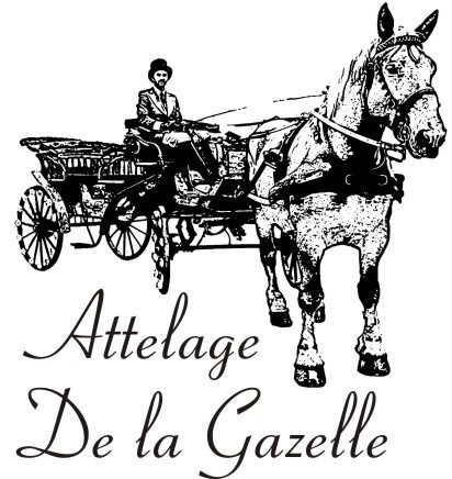 Photo de profil de jml77