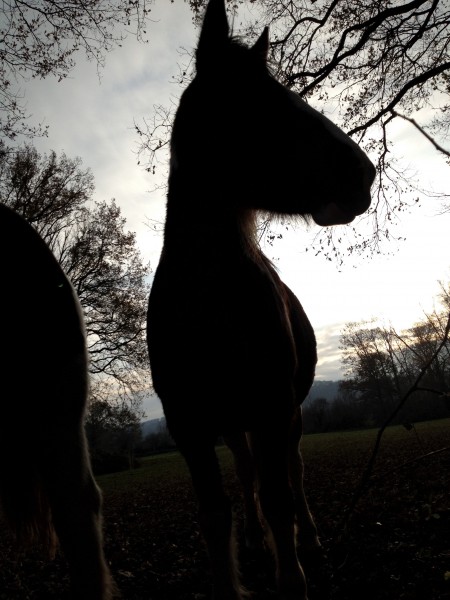 Photo de profil de joy2690