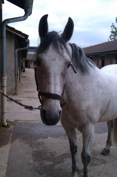 Photo de profil de juliadp