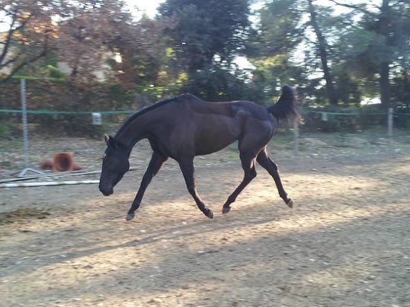 Photo de profil de kacaofix