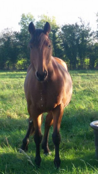 Photo de profil de keyliie