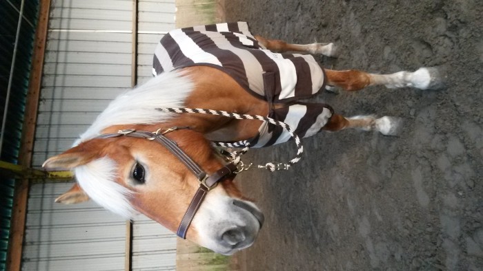 Photo de profil de klemeke