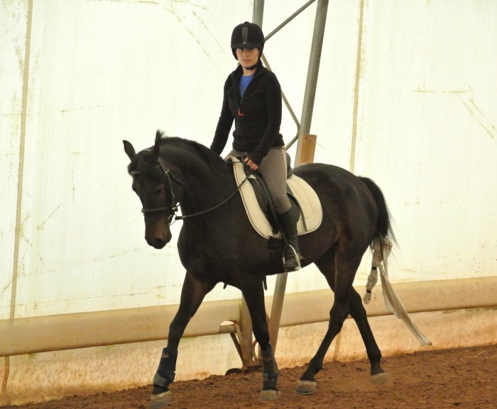 Photo de profil de labousquet1