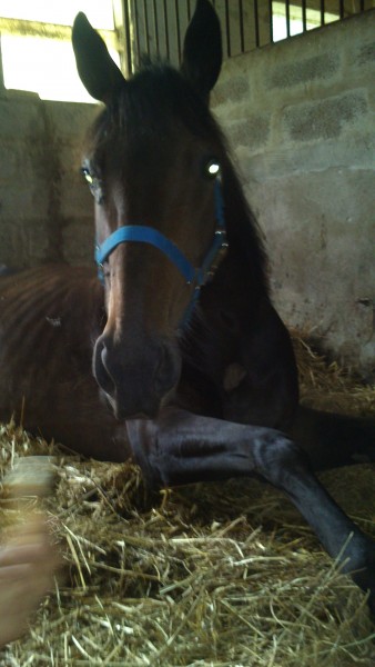 Photo de profil de lacrevette