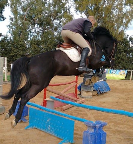 Photo de profil de lassaad