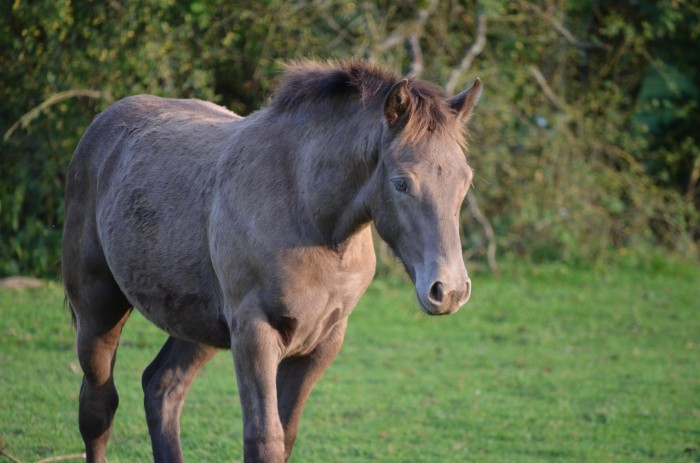 Photo de profil de legna