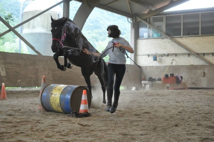 Photo de profil de liatuky